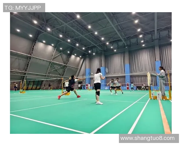 南京羽毛球队创下新纪录羽毛球速度排名再创新高引发热议