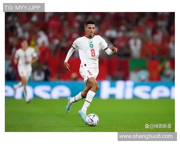 摩洛哥足球明星薪资与税收政策的深度解析与影响