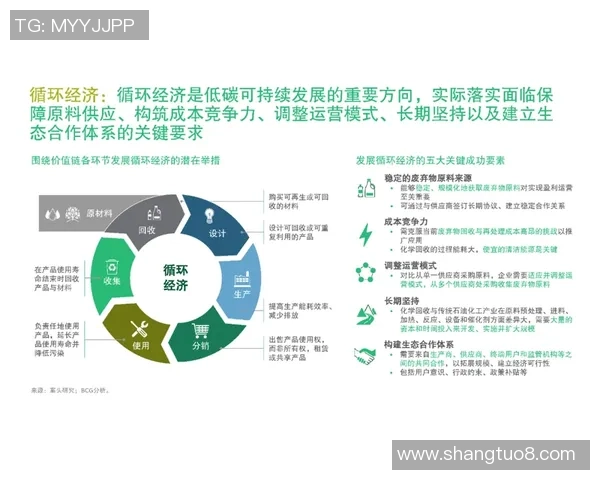 成都羽毛球队的转型之路：从传统强队到新生代崛起的全新挑战与机遇