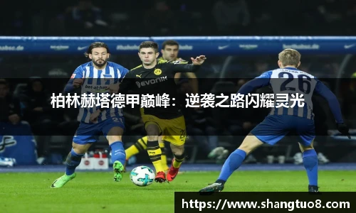 SG胜游官网