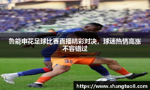 鲁能申花足球比赛直播精彩对决，球迷热情高涨不容错过