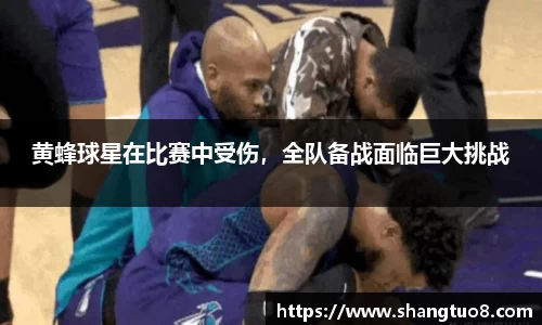 胜游官网
