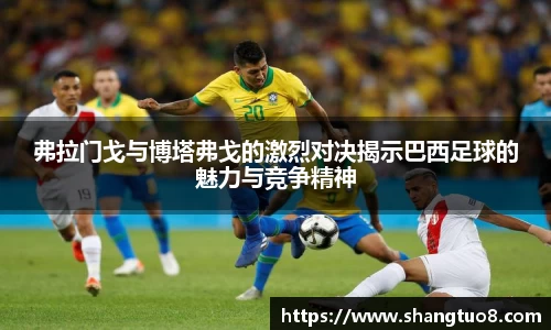 弗拉门戈与博塔弗戈的激烈对决揭示巴西足球的魅力与竞争精神