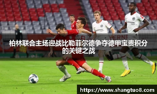 SG官网